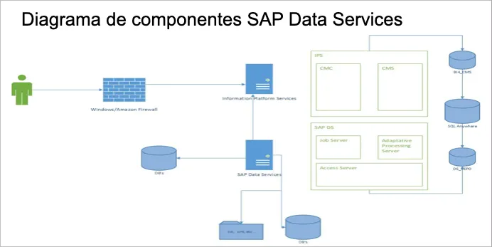 SAP Data Services